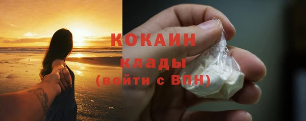амф Верея