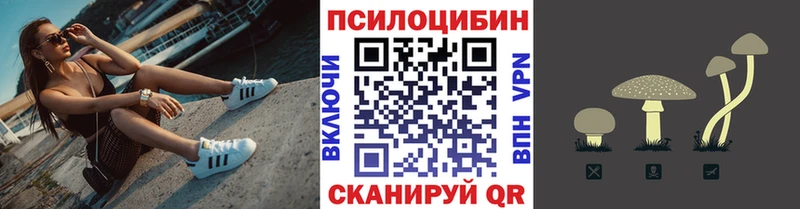 Галлюциногенные грибы мицелий  сколько стоит  ОМГ ОМГ как войти  Калининск 